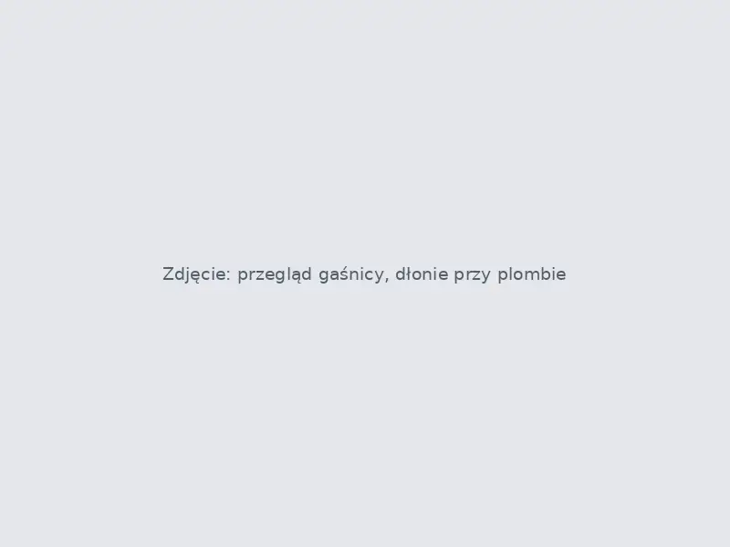 Przegląd gaśnicy proszkowej i kontrola plomby